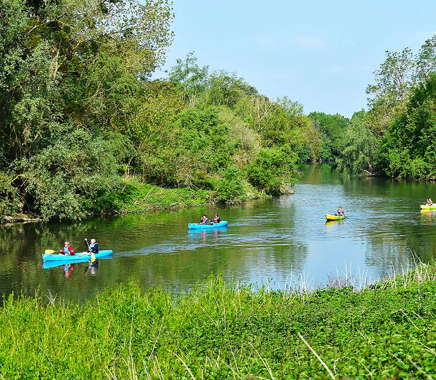 Canoseine